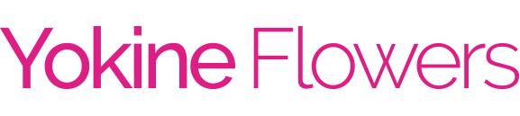 Magic Moments in Dublin Logo